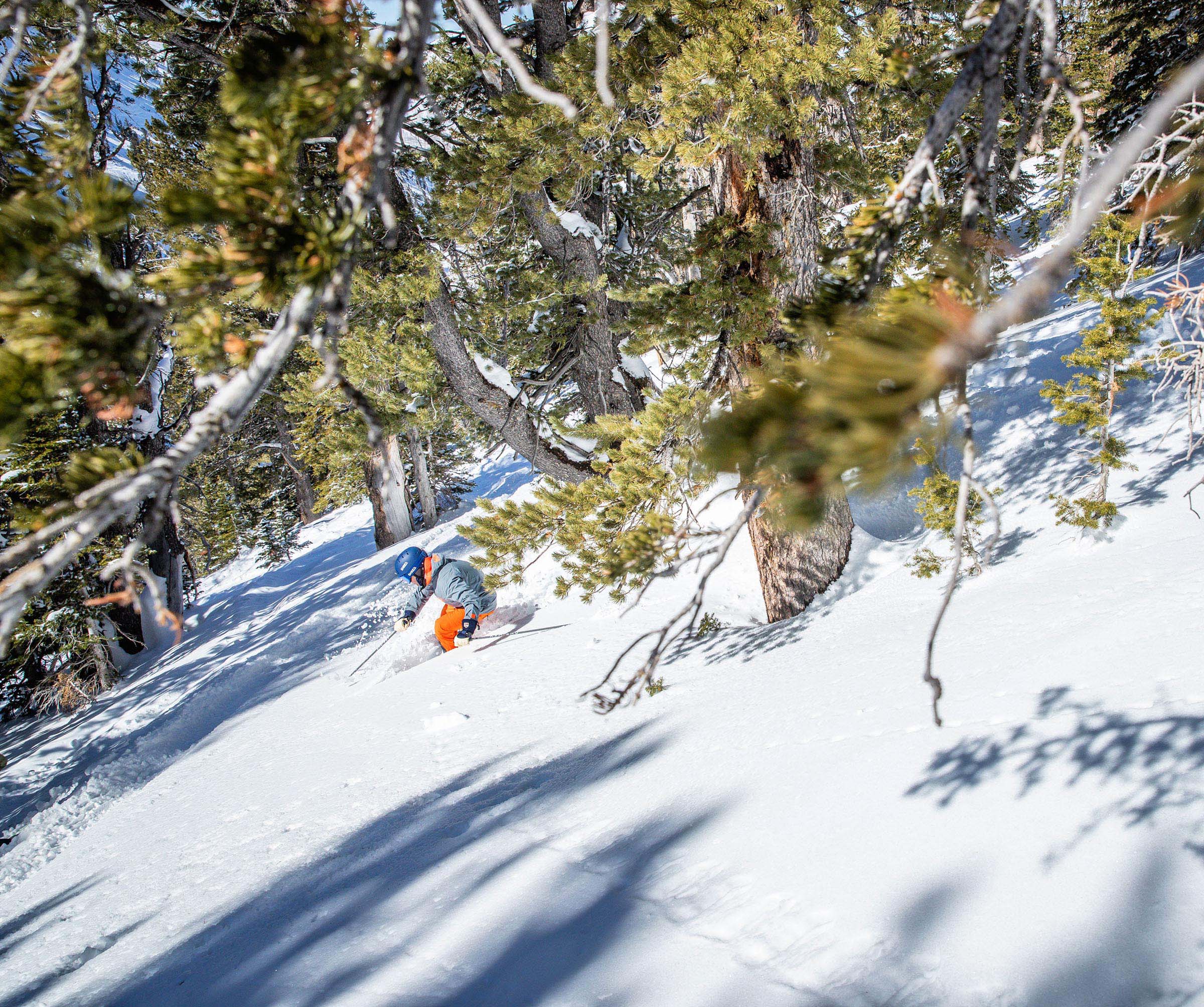 Is the Black Crows Corvus a Good Ski? It Depends on the Skier