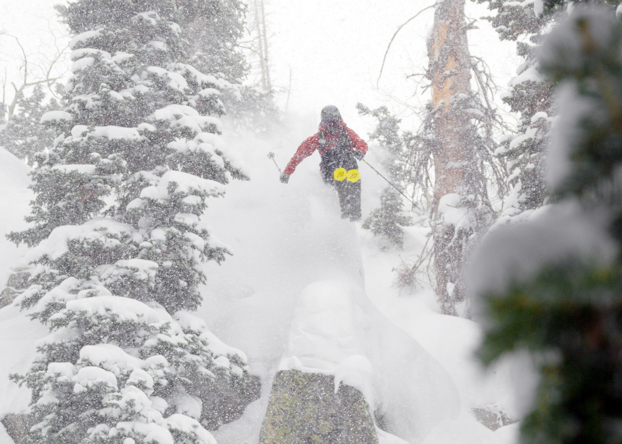 Pep Fujas going big on a powder day at Brighton, Utah