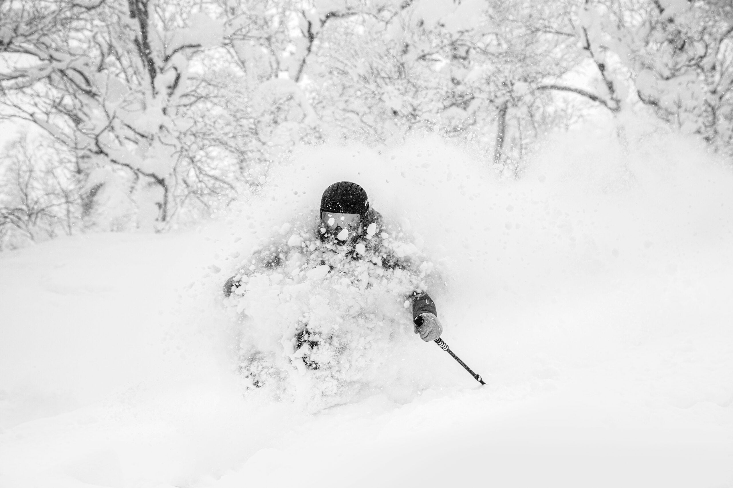 Japow