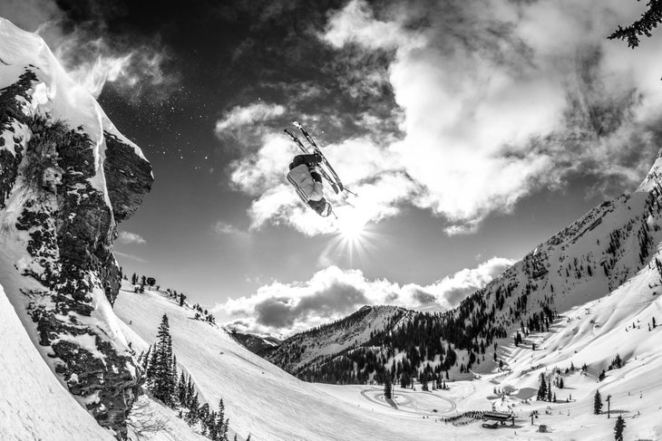 Snowbird