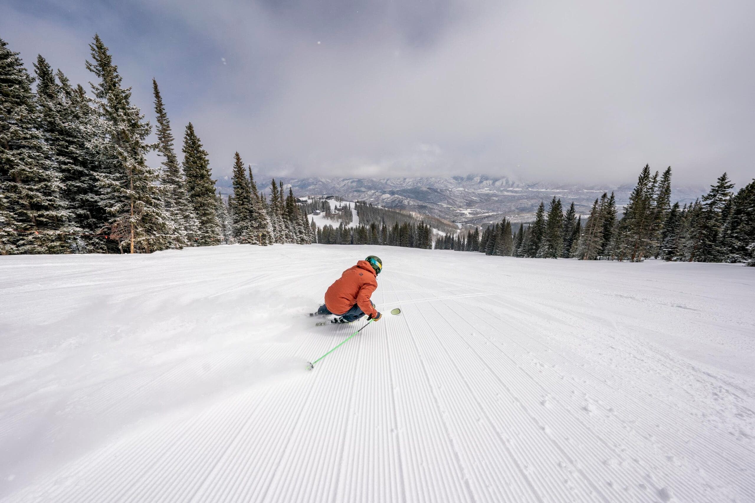 Aspen Grooming
