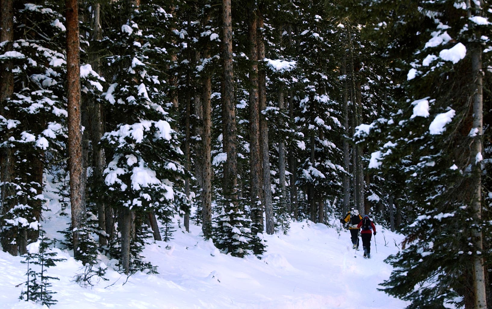 Hidden Valley backcountry