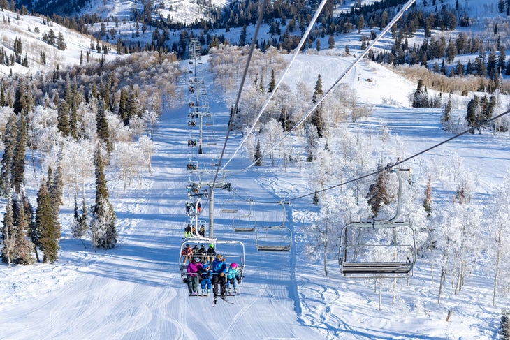 Powder Mountain RG23