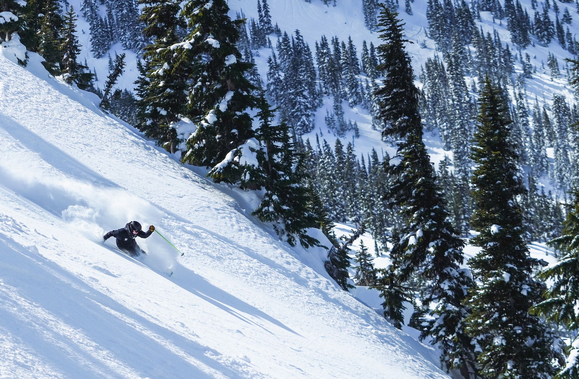 Extremely Canadian - Ski & Snowboard Clinics, Courses & Backcountry