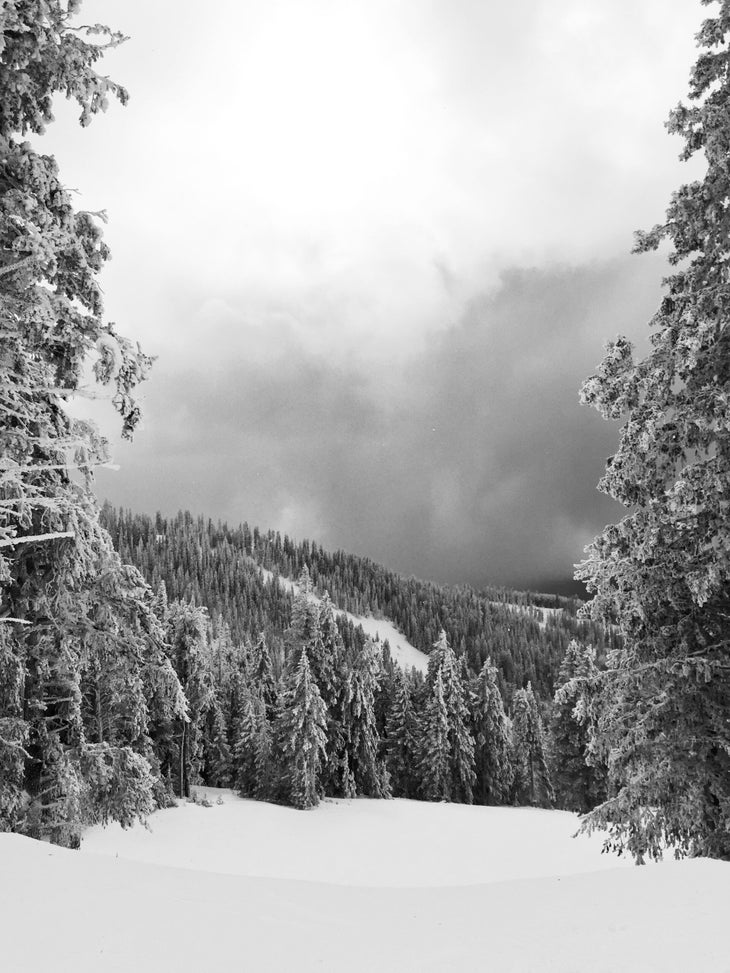 Arizona Snowbowl