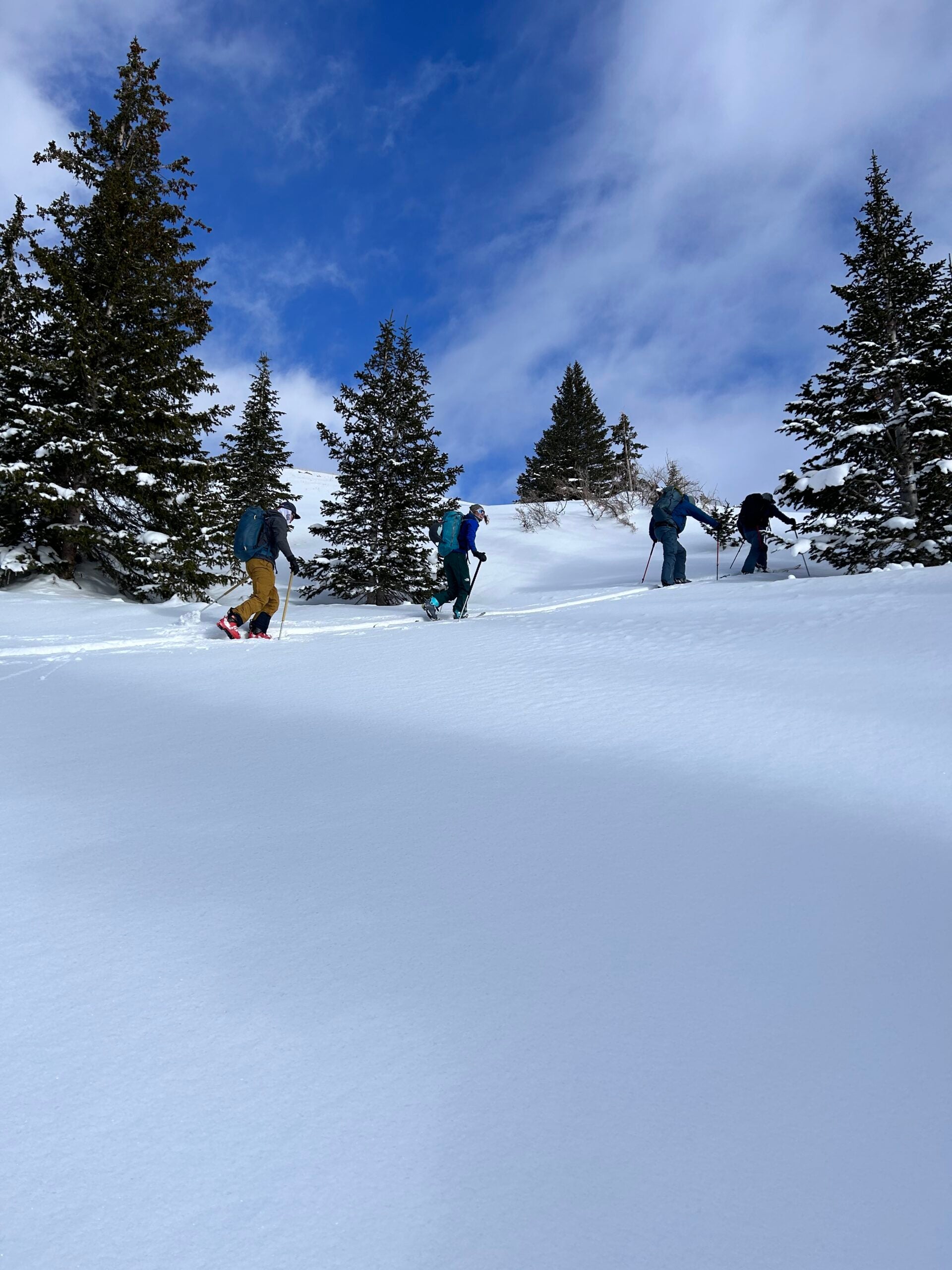 Seven Utes Yurt skinning