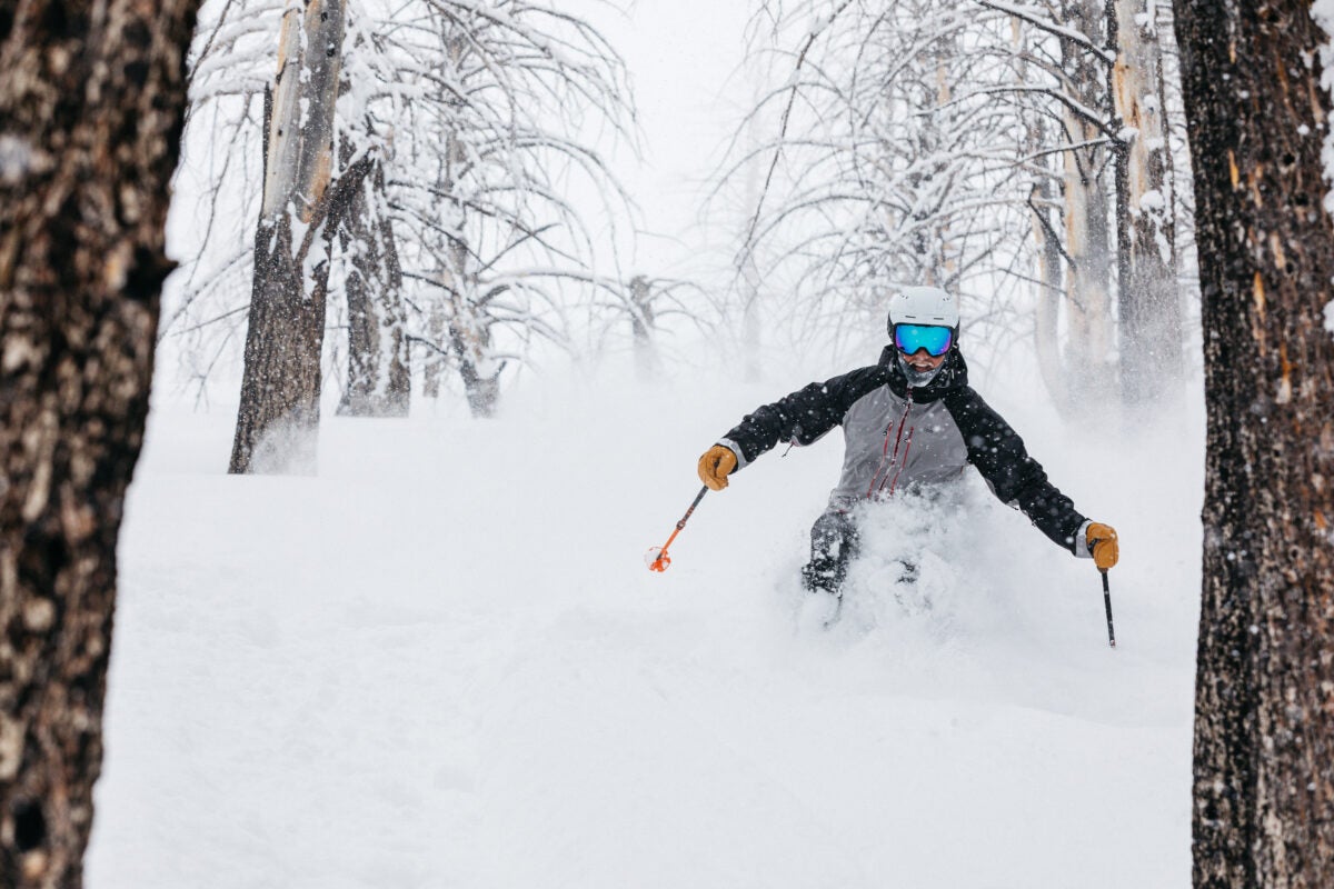 Skier in deep powder skies between two trees