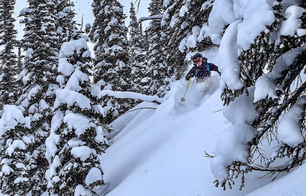 Skier in backcountry powder
