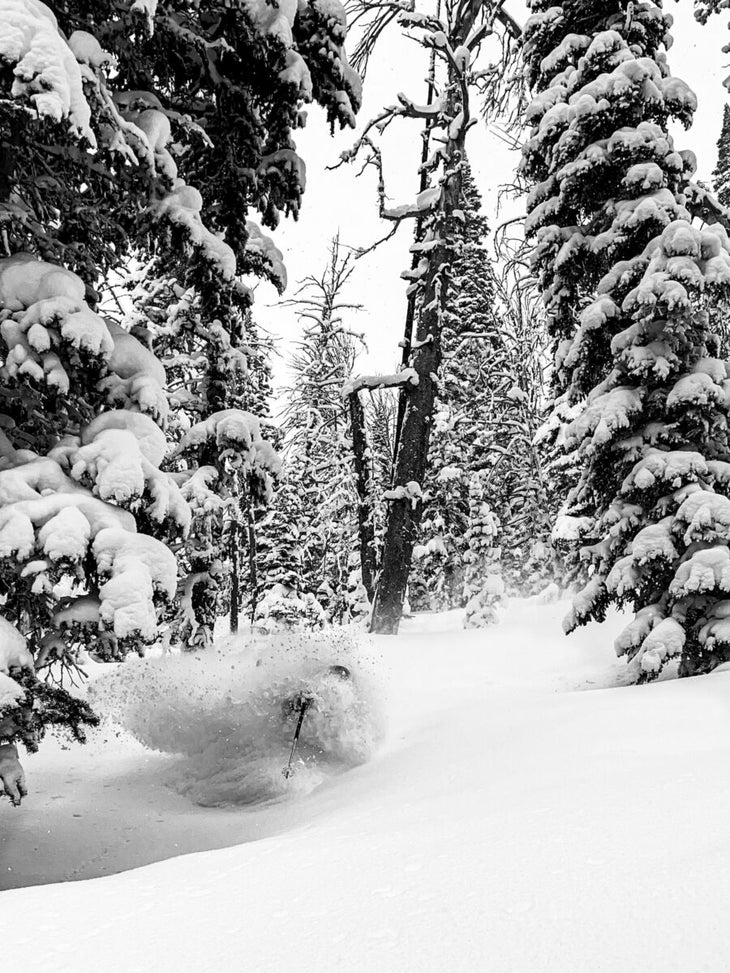 Backcountry skier in powder