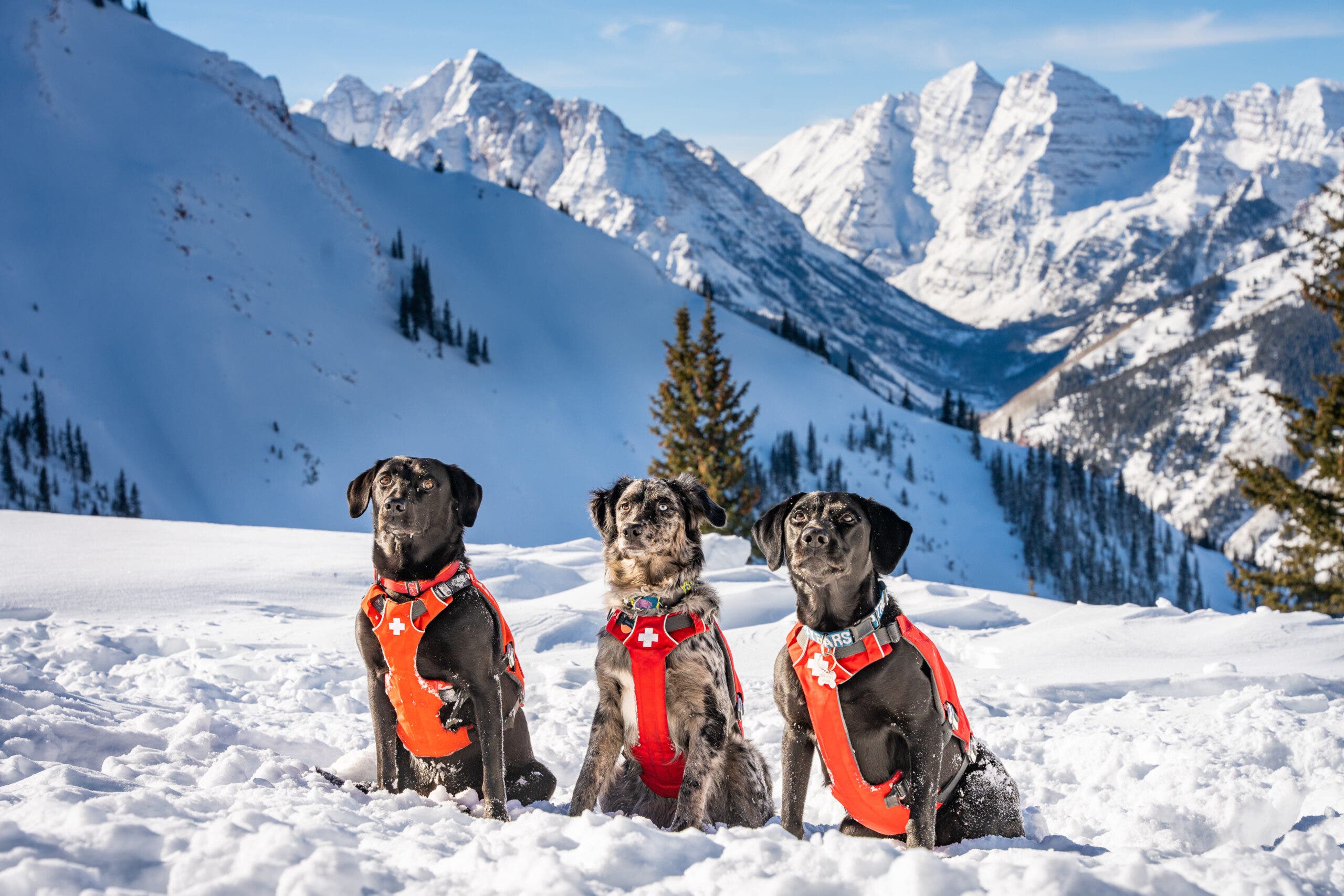 Aspen Snowmass guest service