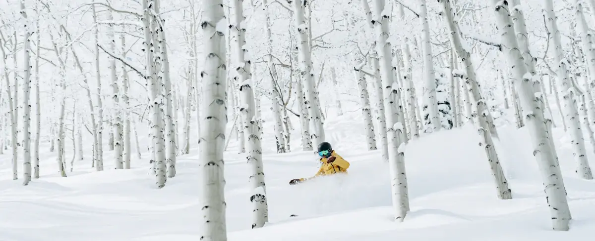 Aspen&rsquo;s 25th Sustainability Report | SKI