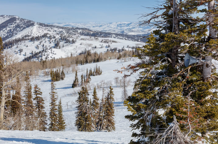 Powder Mountain art