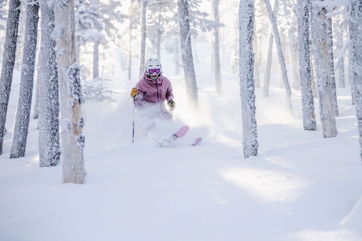 Skier in soft light skis through trees