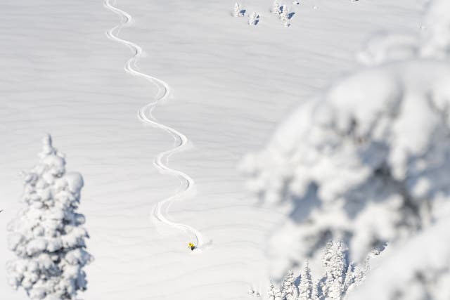 Exclusive: Reed Hastings on Nixing Lift Tickets on Peak Weekends at Powder Mountain