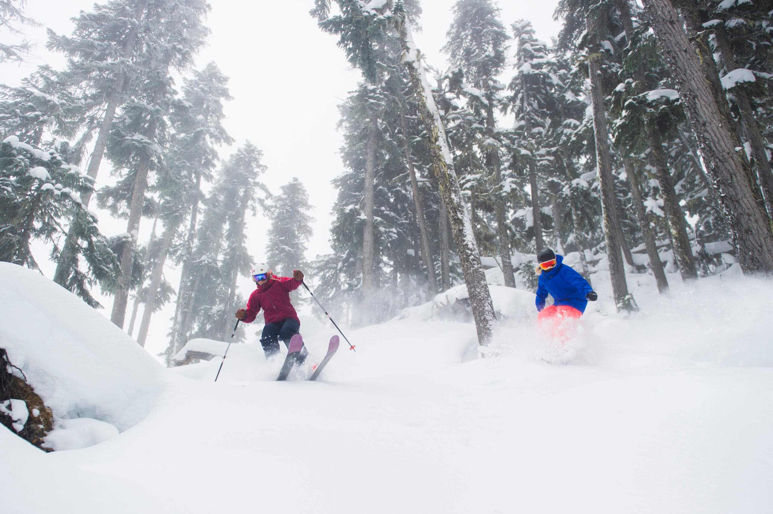 Where to Find the Best Snow Week of Jan. 26 | SKI
