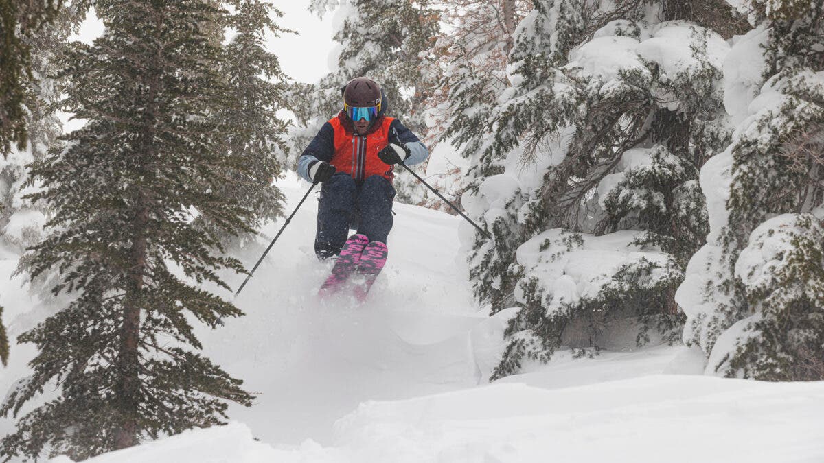 Skier jumping in powder snow through trees on a snowy day
