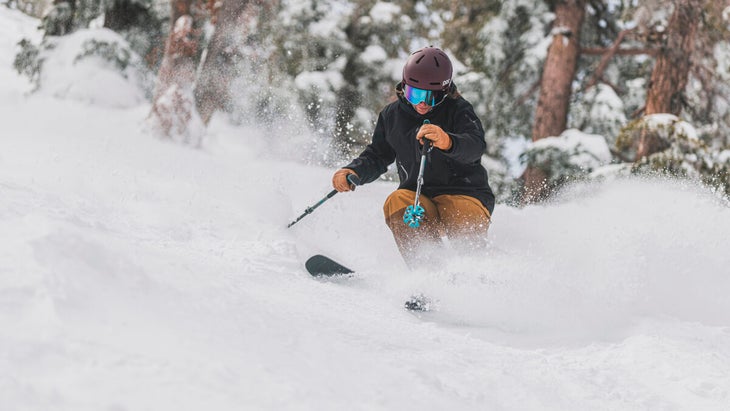 Skier about to make a pole plant in powder snow. 