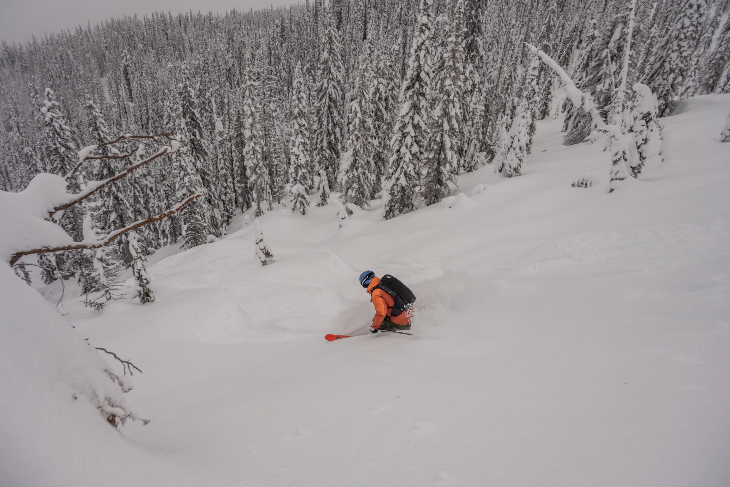 Eleven Revelstoke heliskiing