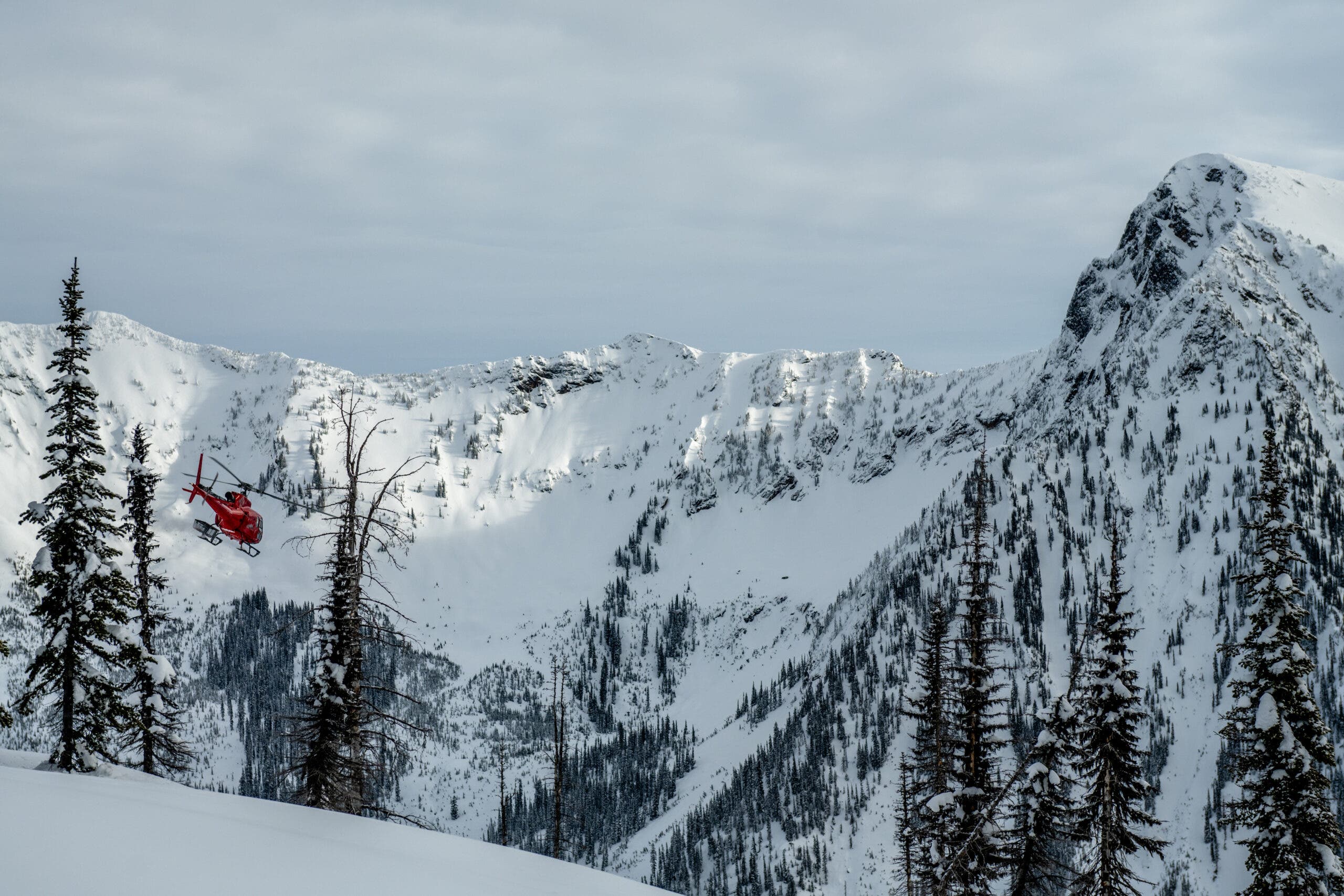 Eleven Revelstoke heliskiing