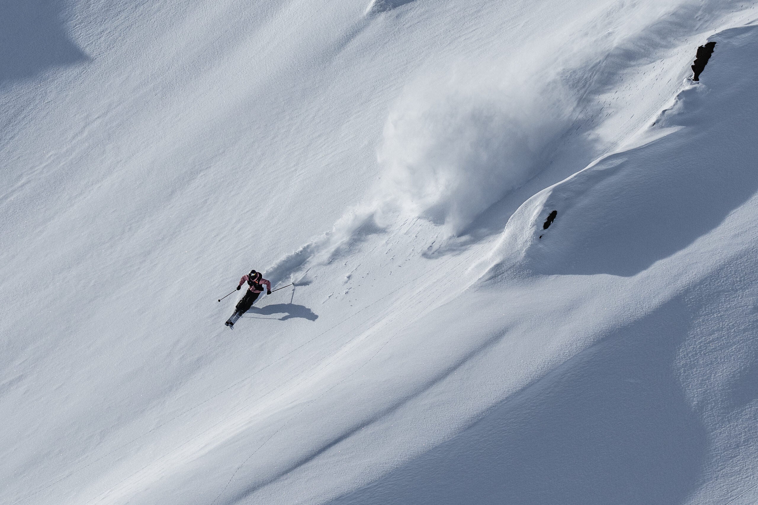 Head Natural Instinct (2016)