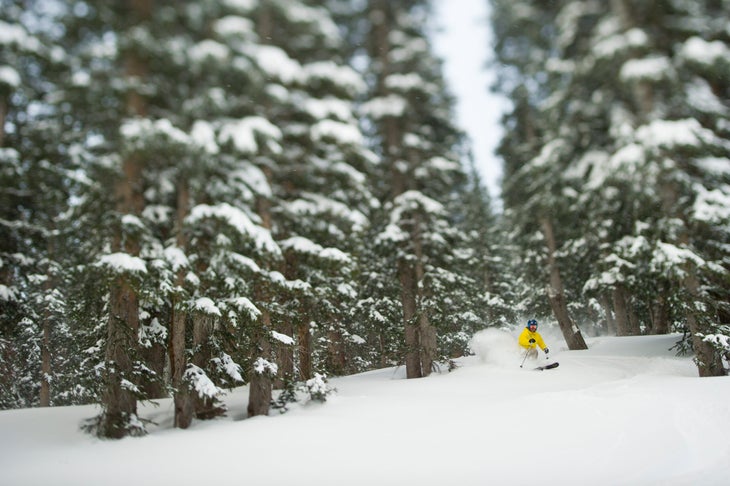 Shroom skiing