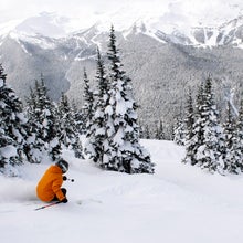 Whistler