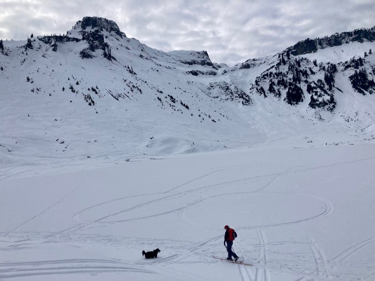 Landscape shot of person and a dog 