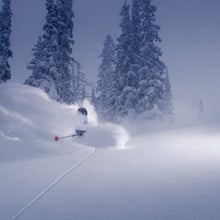 deep powder skiing