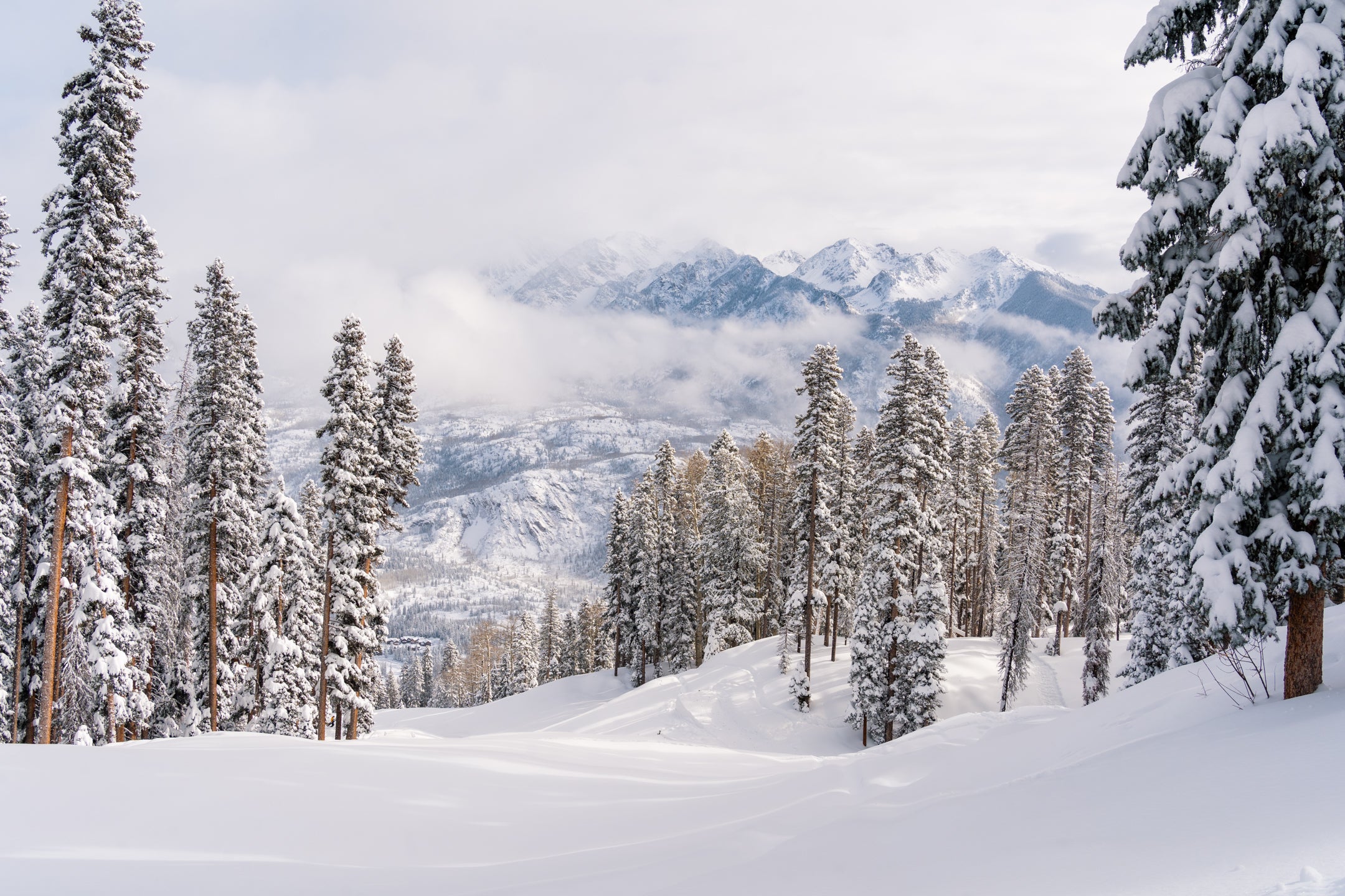 Whats New at Ski Resorts for 2025-26 Season | SKI