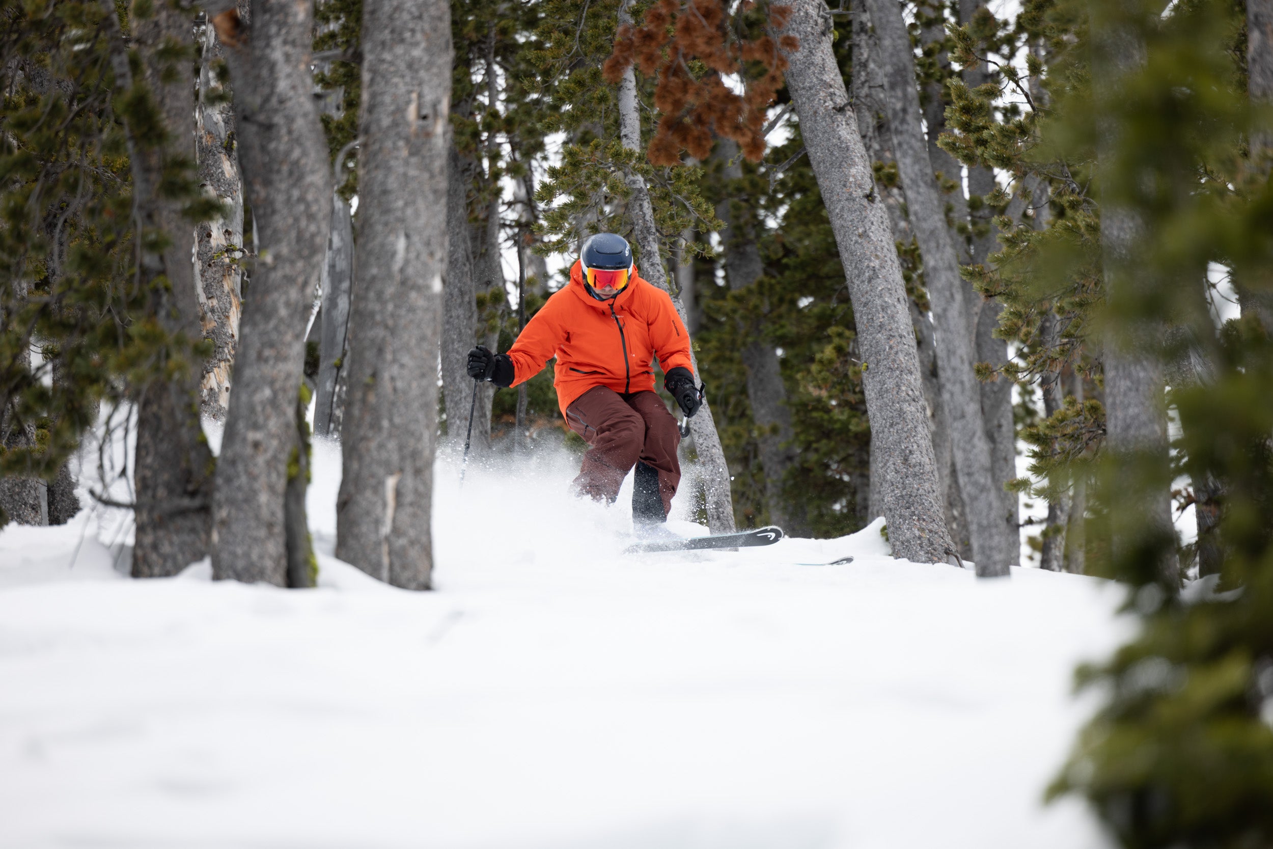 Skier wearing orange jacket skiing through trees