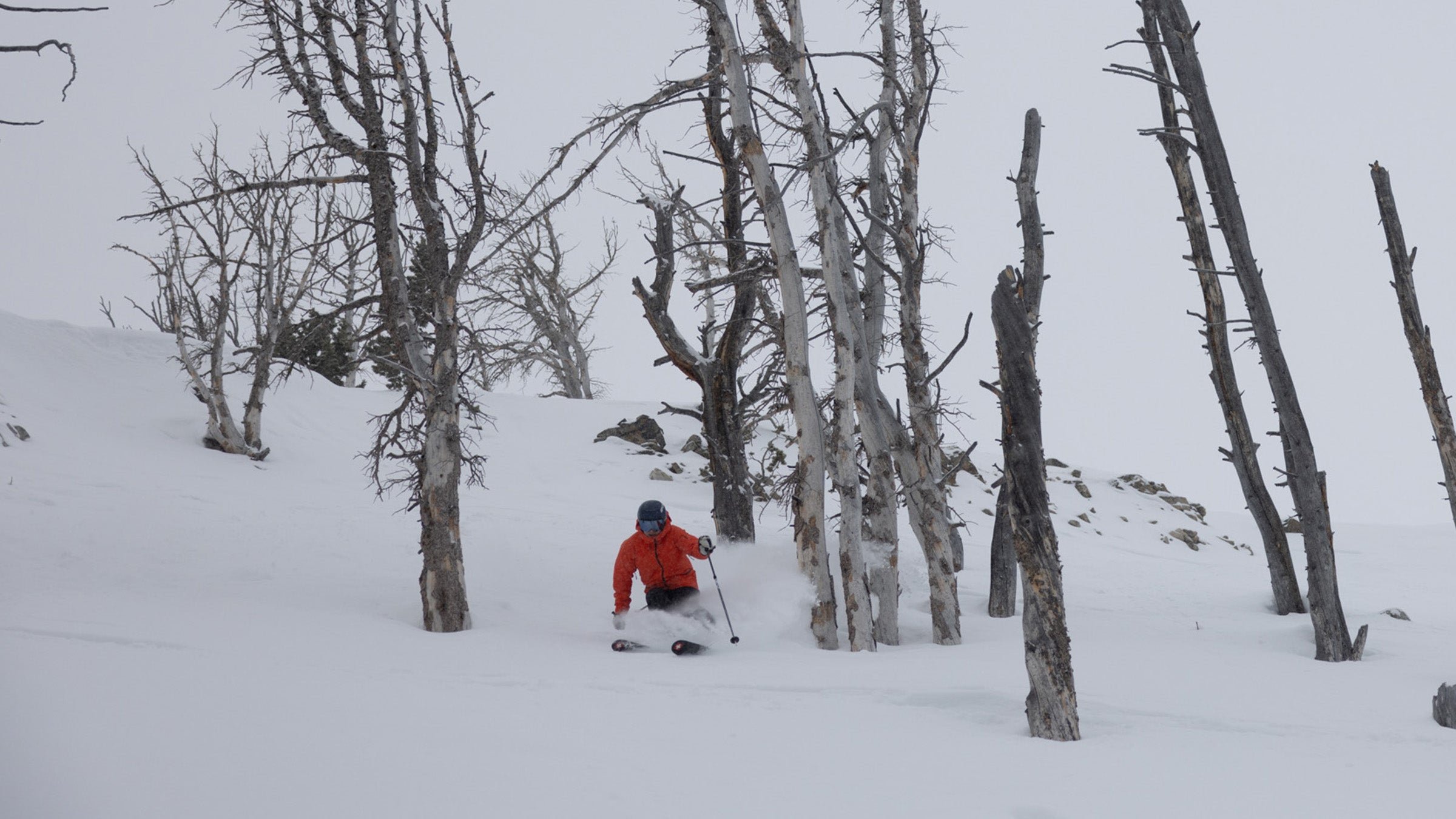 Swix Mach CT 1 Composite - Poles: Reviews