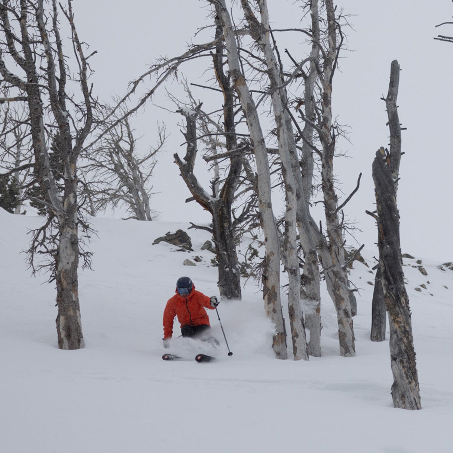 Stöckli Stormrider 95 Review: The Best All-Mountain Ski of 2026