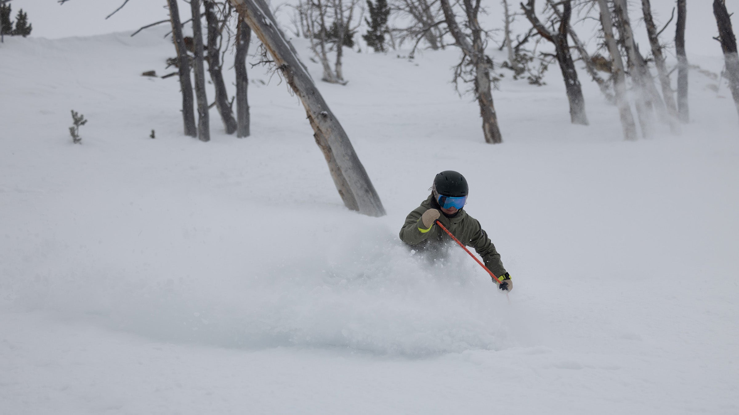 Skier in powder snow with trees in background