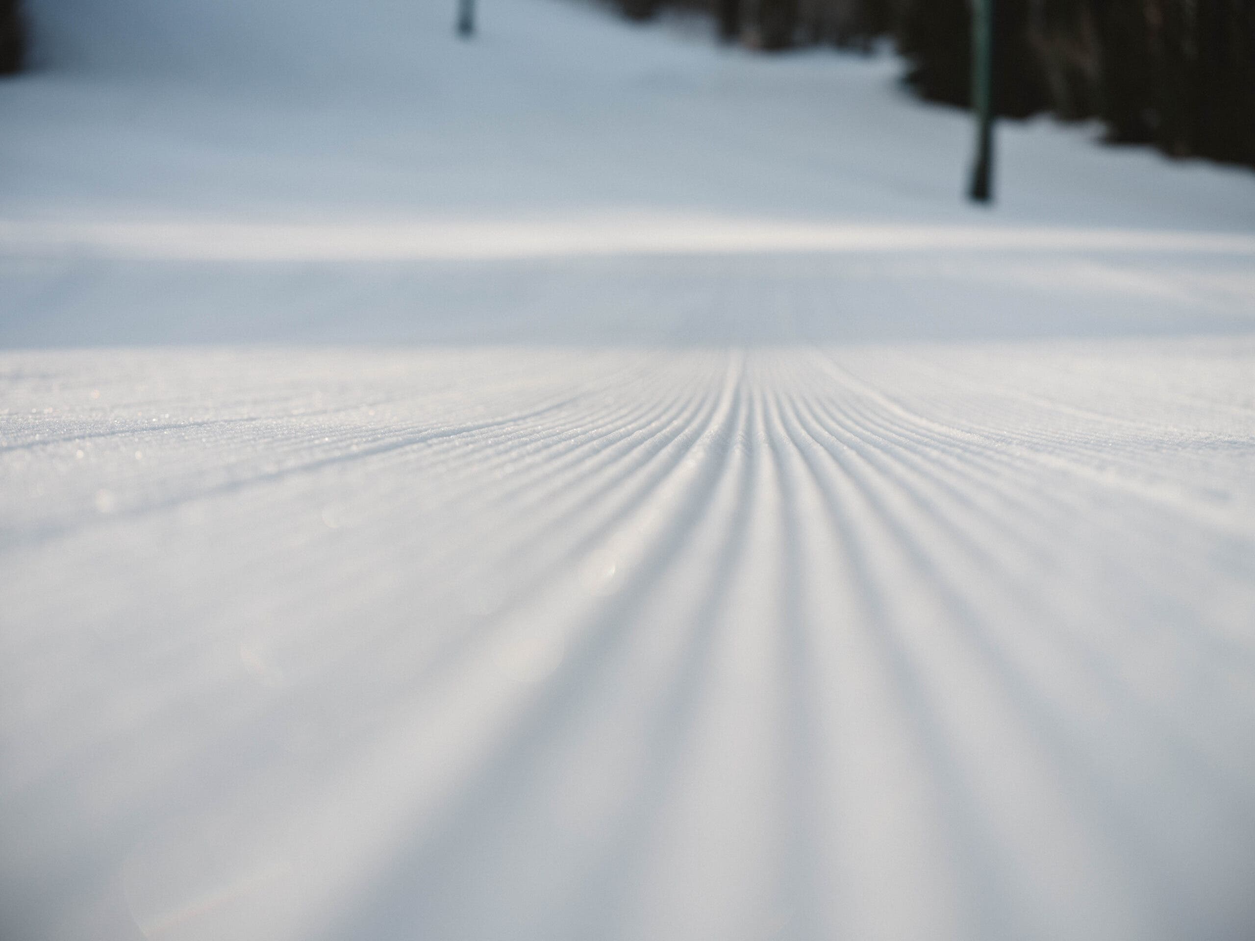 Perawatan Lembah Rusa