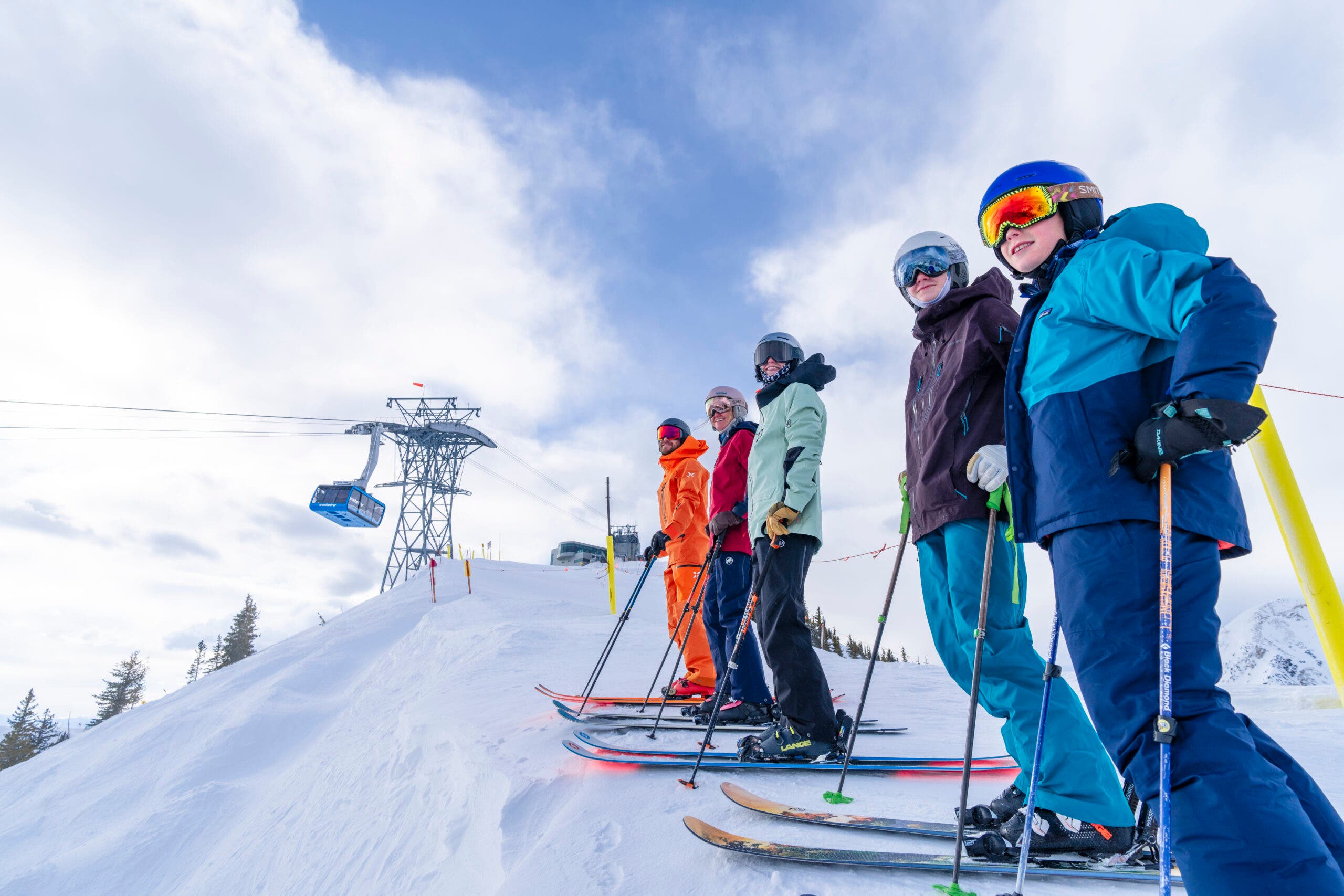 Tantangan burung salju