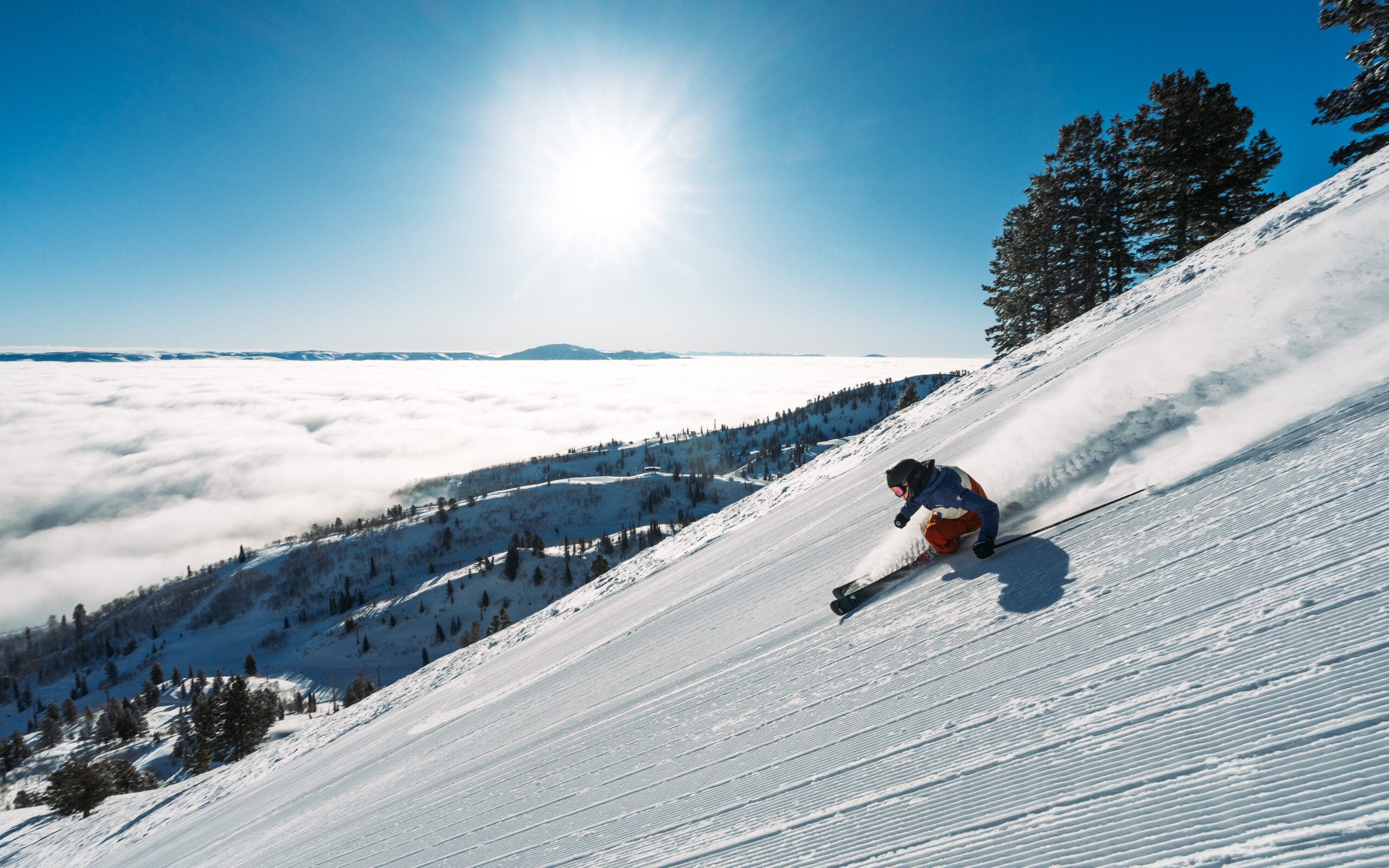 Perawatan cekungan salju