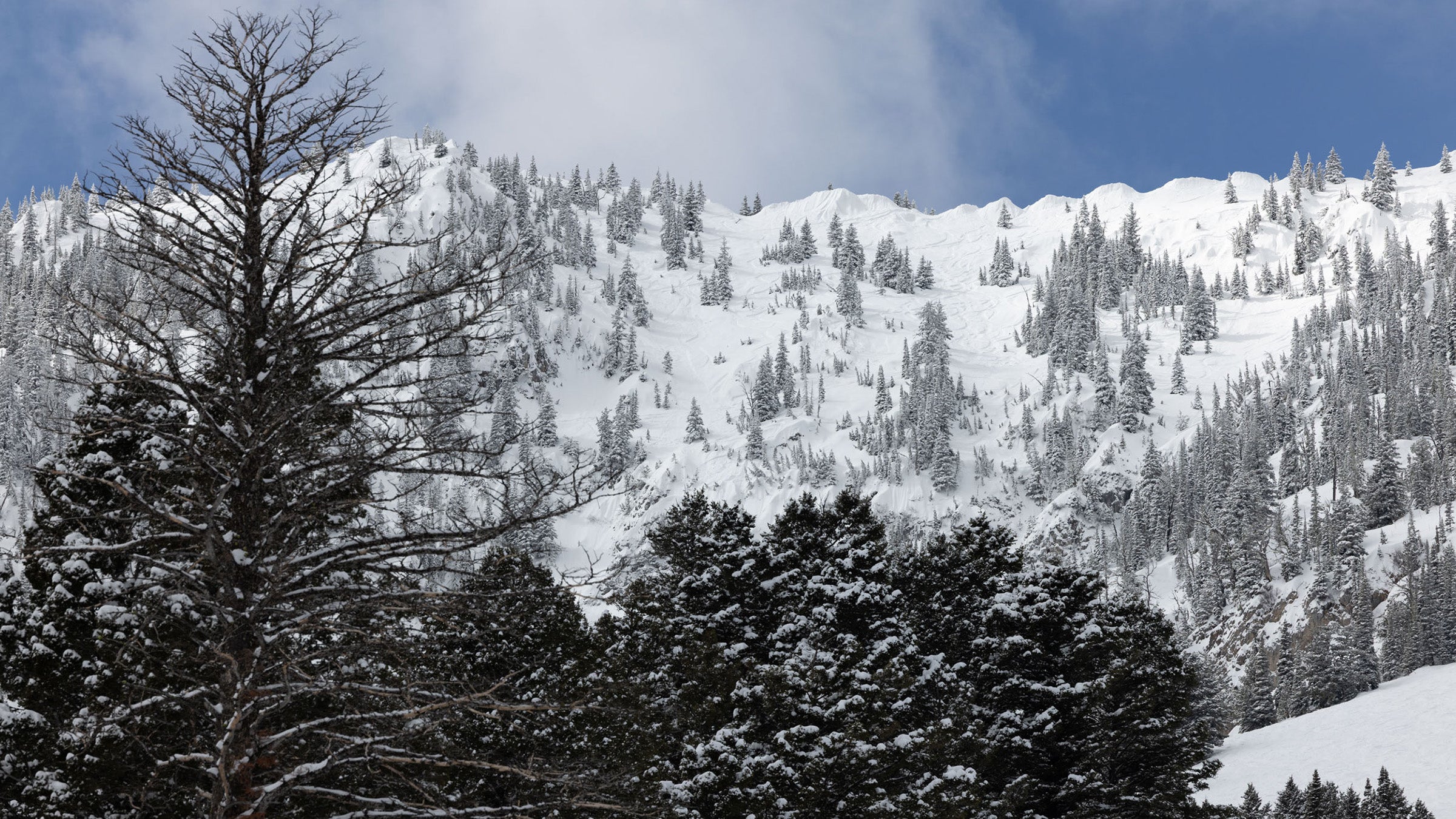Photo of snowy Bridger Bowl Ridge line and extreme skiing terrain