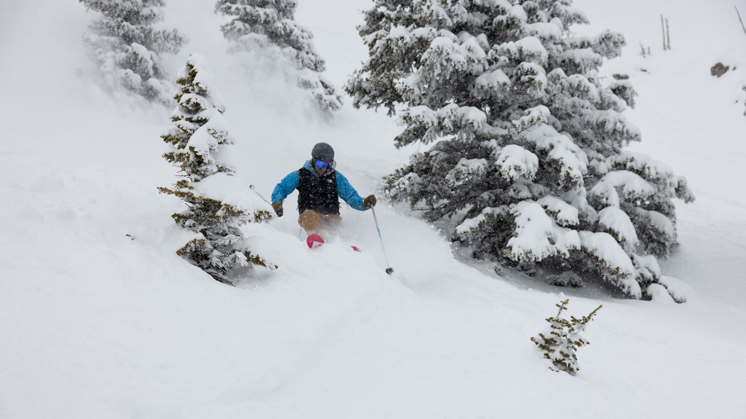 Skier turning in powder snow through trees