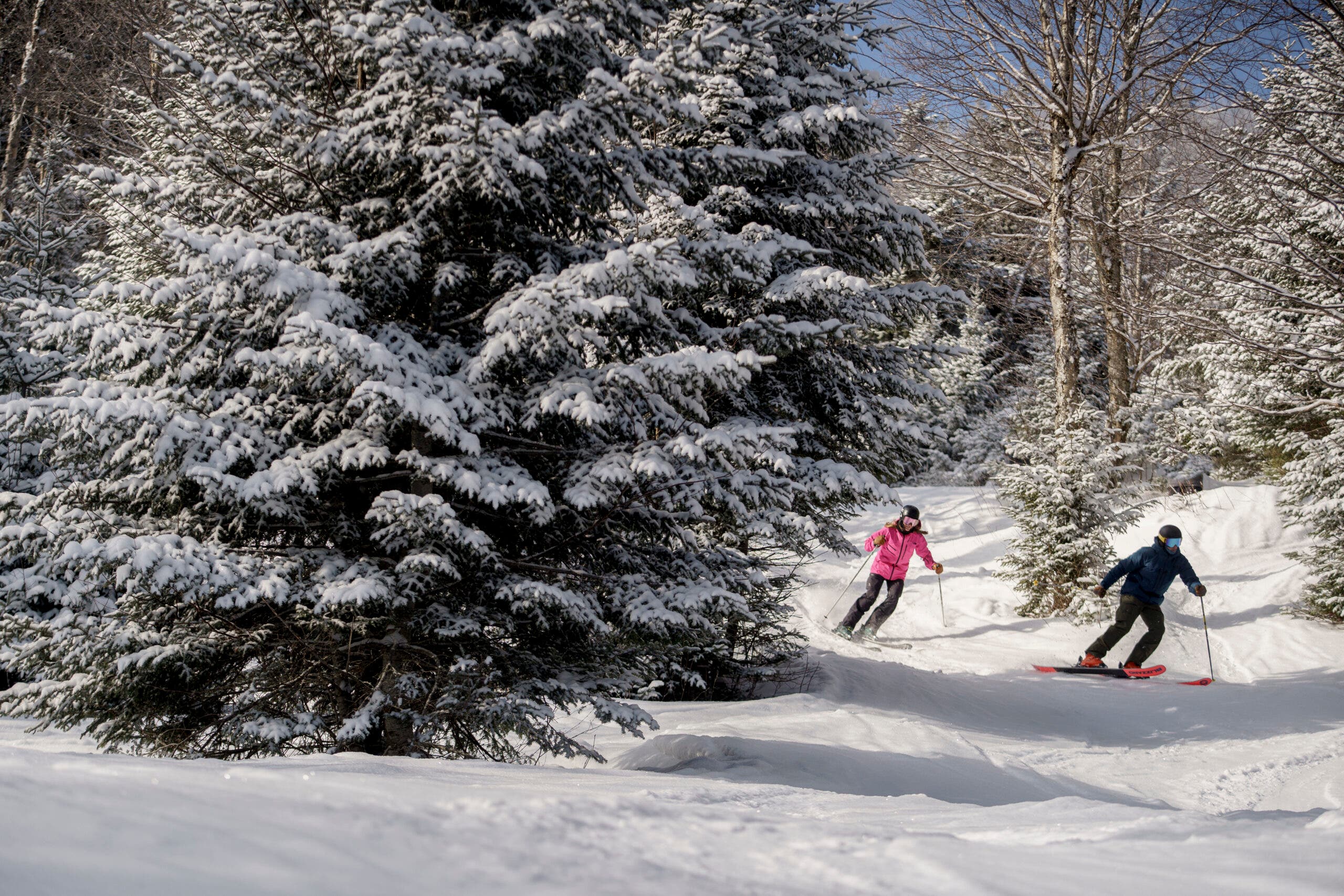 Dua pemain ski berjalan berdampingan menyusuri jalan setapak dengan pohon di depannya