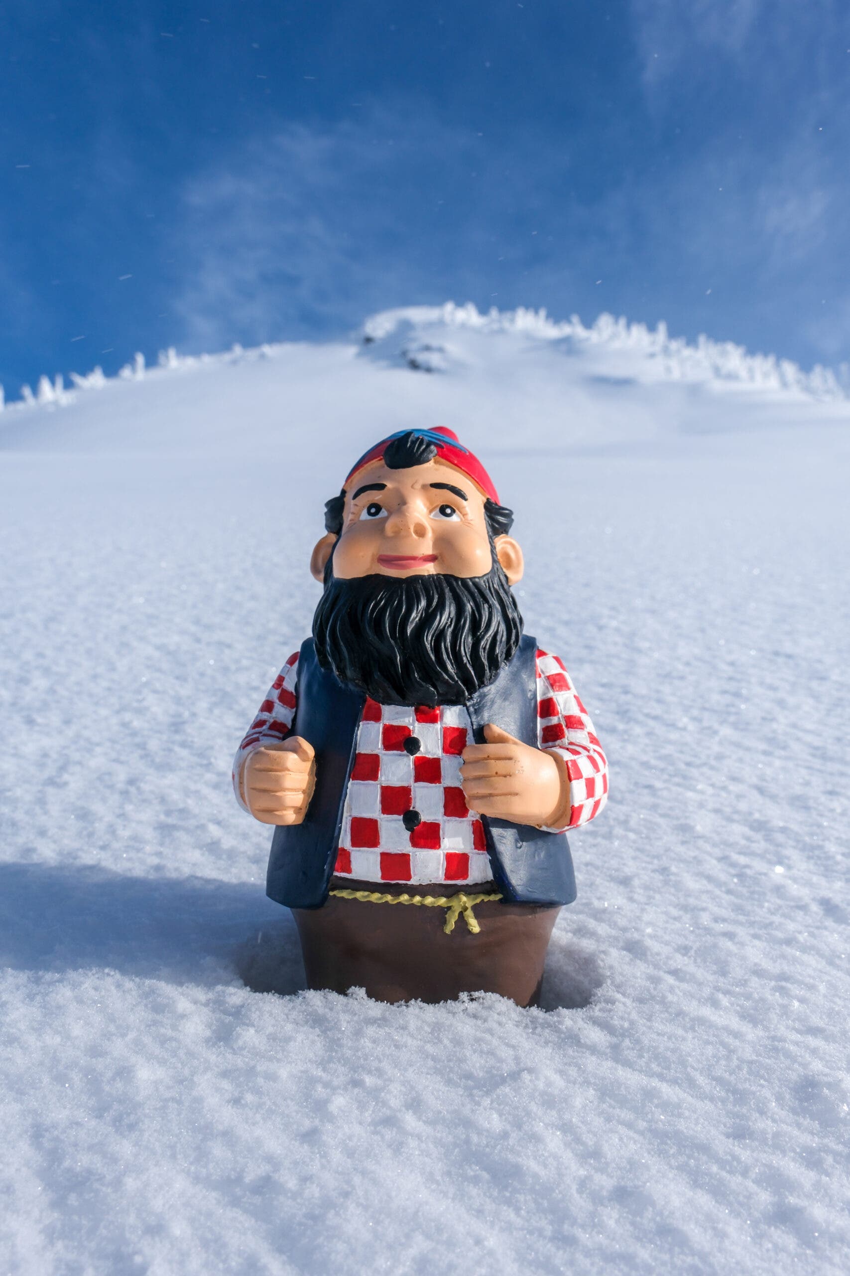 Rasa lokal Revelstoke