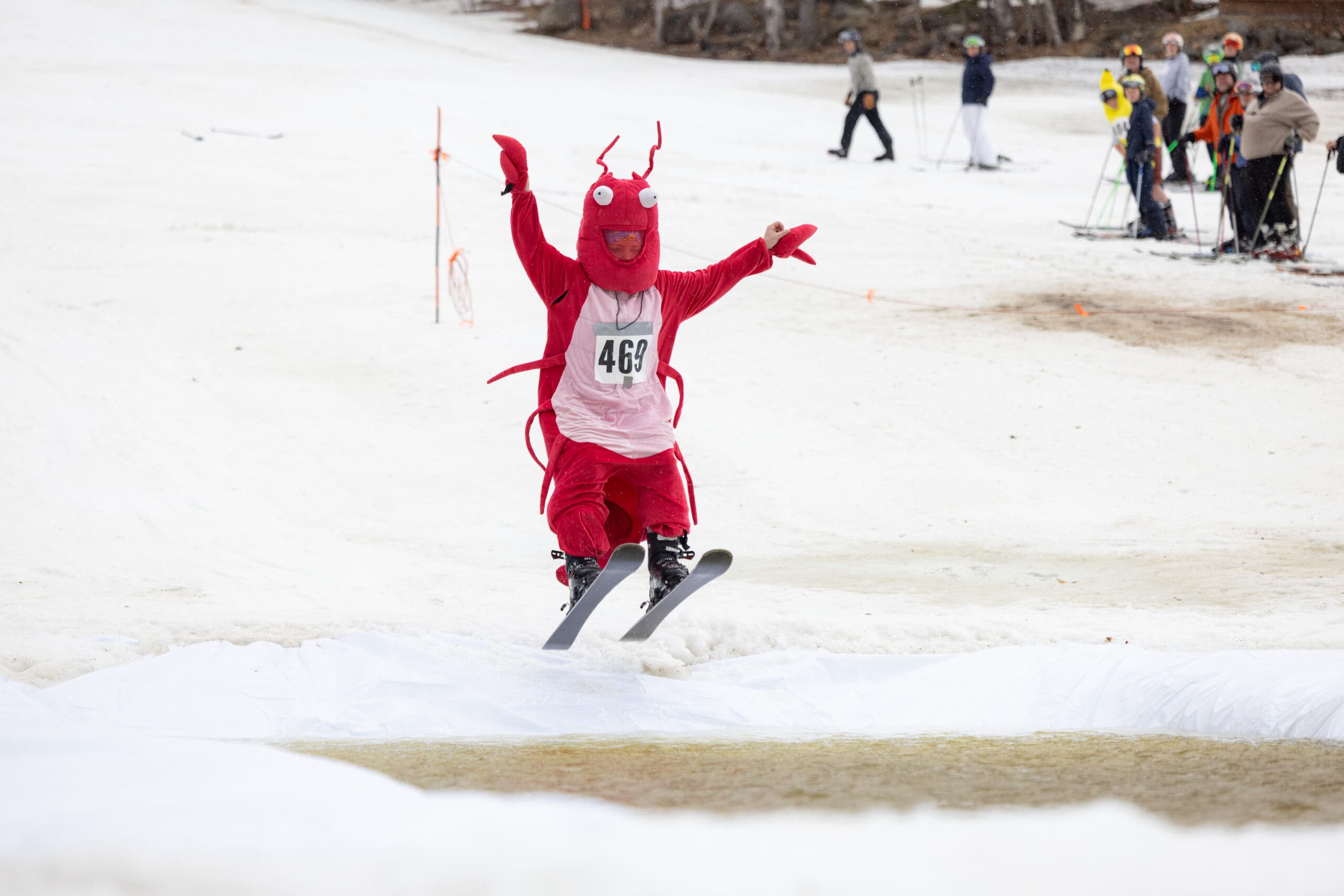 Lobster meluncur melintasi air
