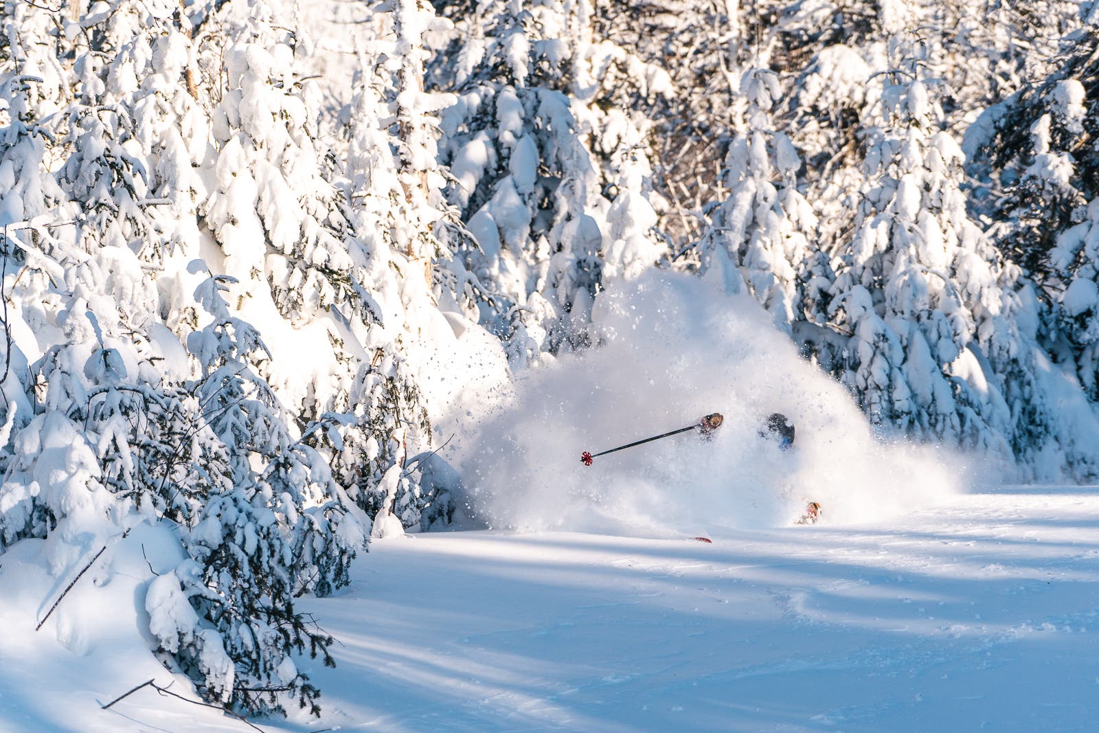 Salju di punggung pelana