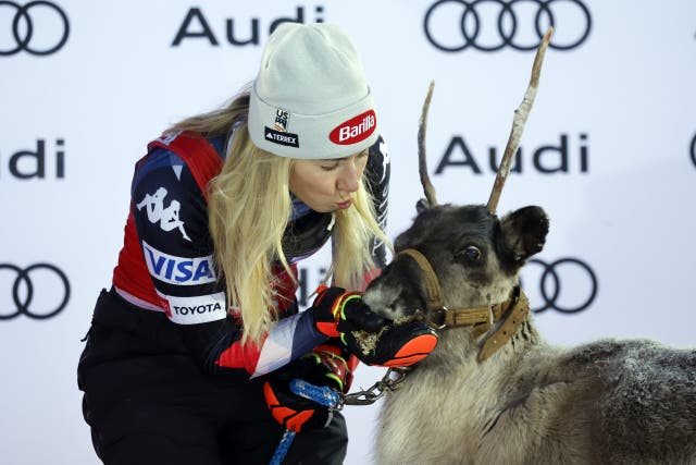 When You Win a World Cup Race in Finland, You Get a Reindeer. Meet Mikaela Shiffrin's Herd.