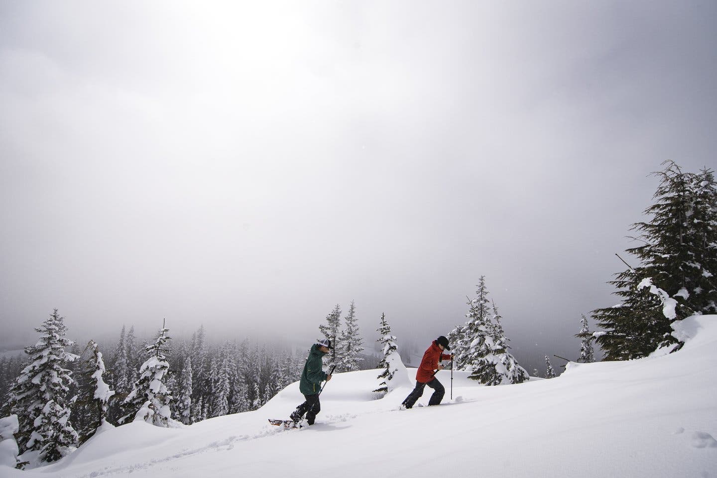 Snowshoeing