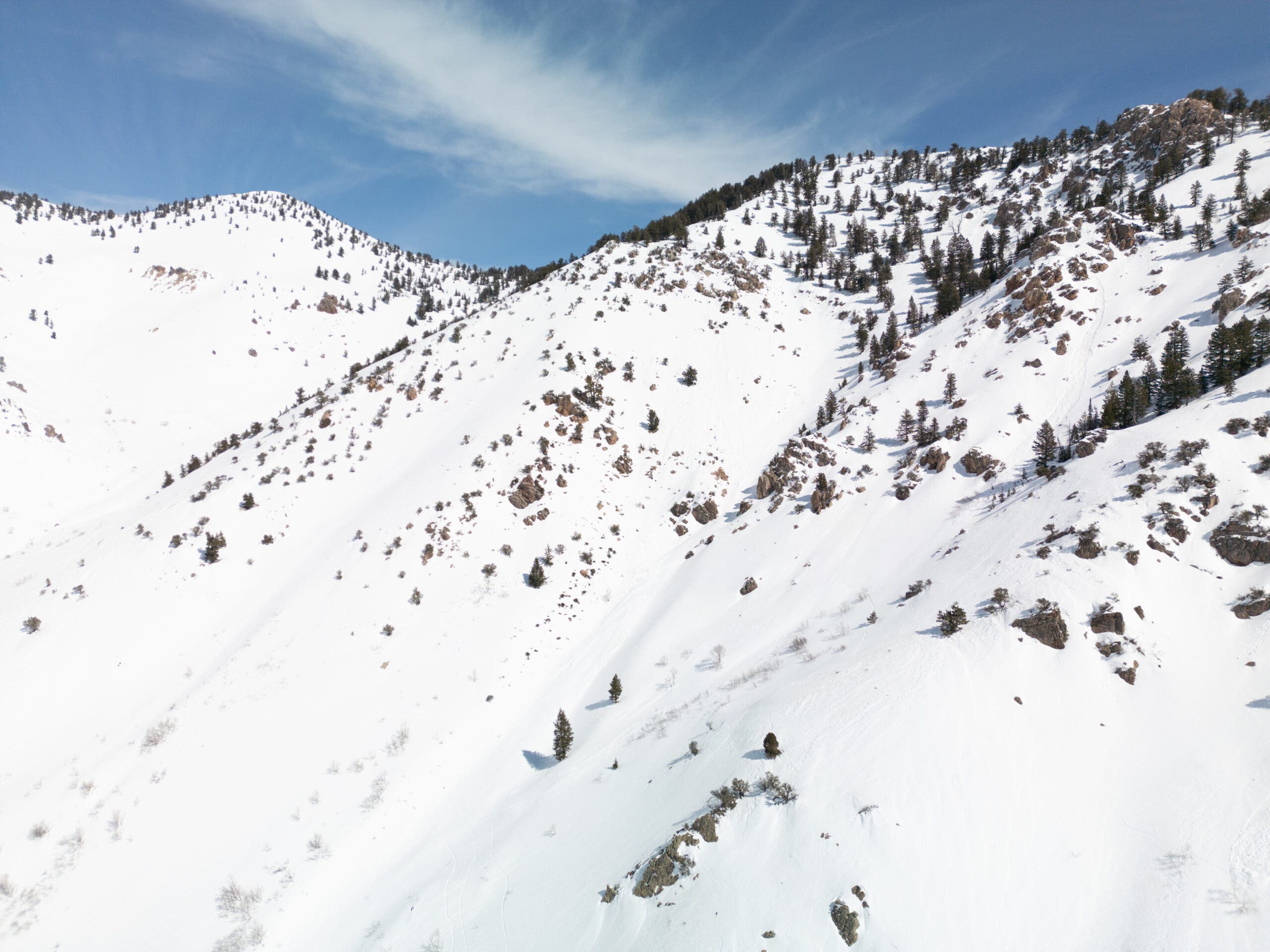 Calling All Purists: These 5 Ski Areas Rely on 100 Percent Natural Snow.