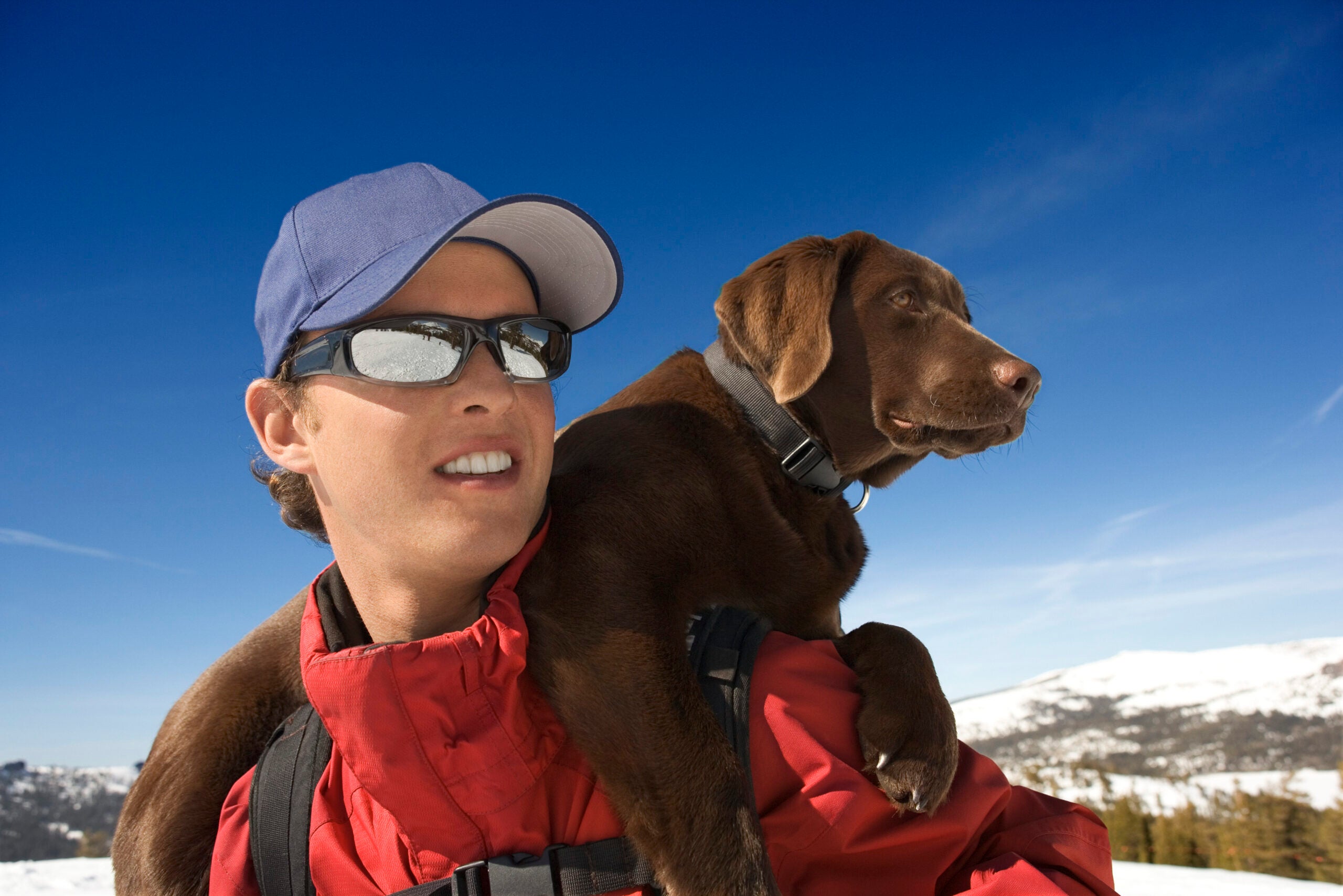 They Look Like Playful Pups. In an Avalanche, They’re Life-Saving First Responders.