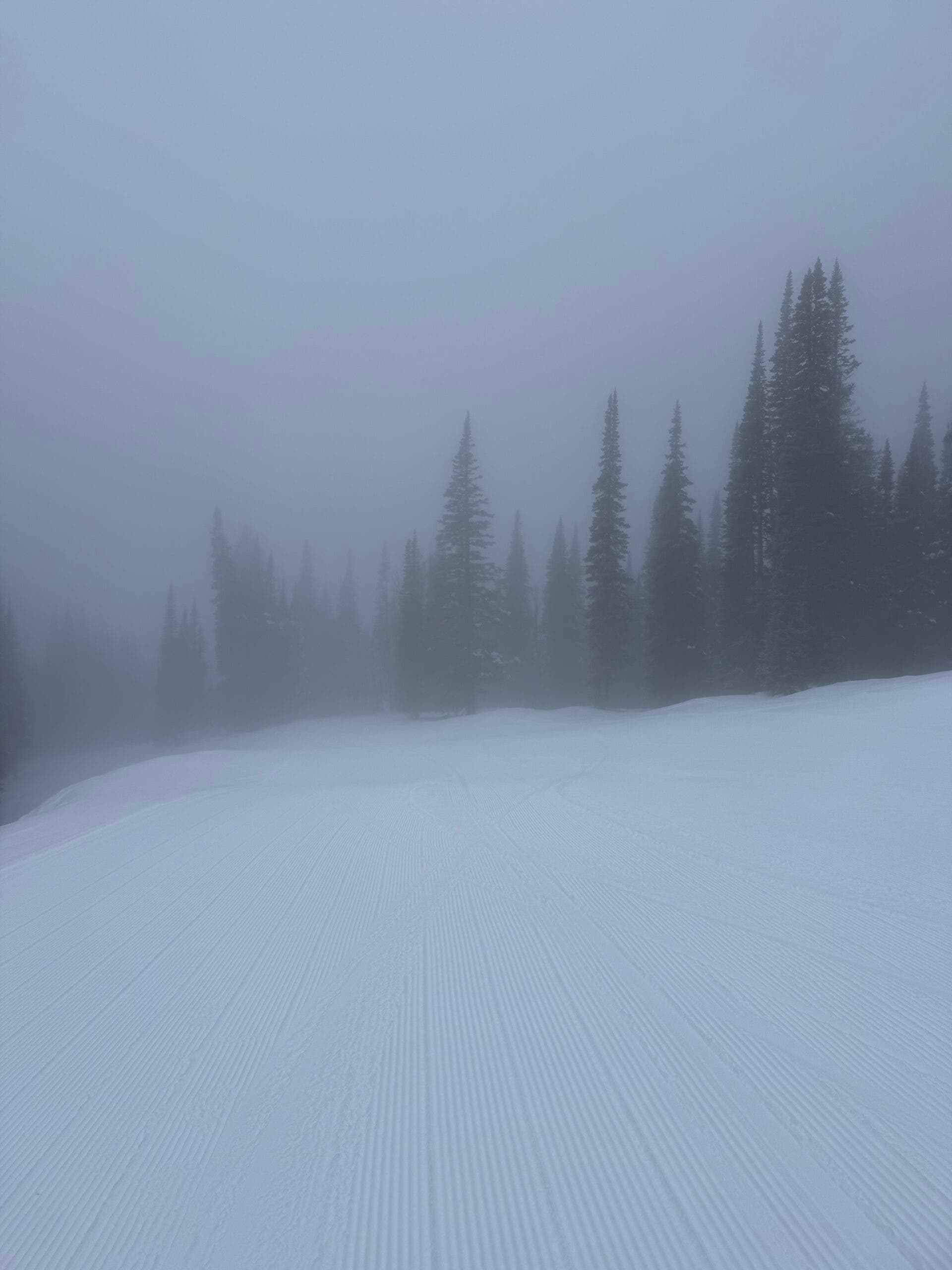 Fog at Grand Targhee