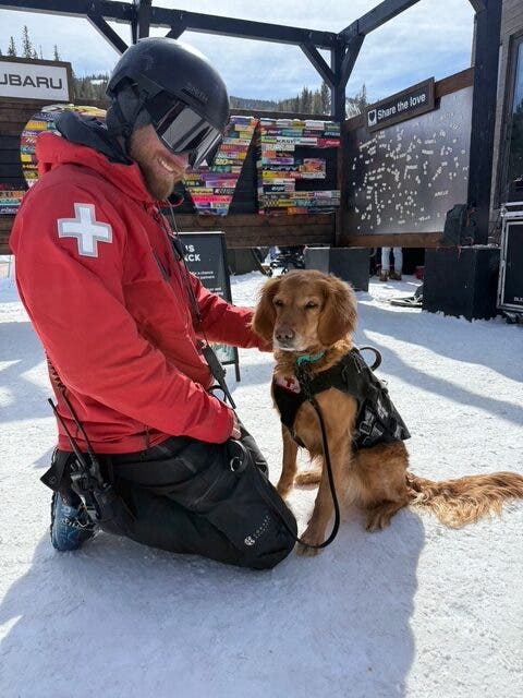ski patrol dogs