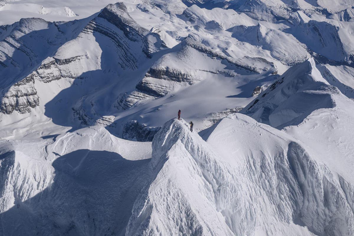 Robson screenshot