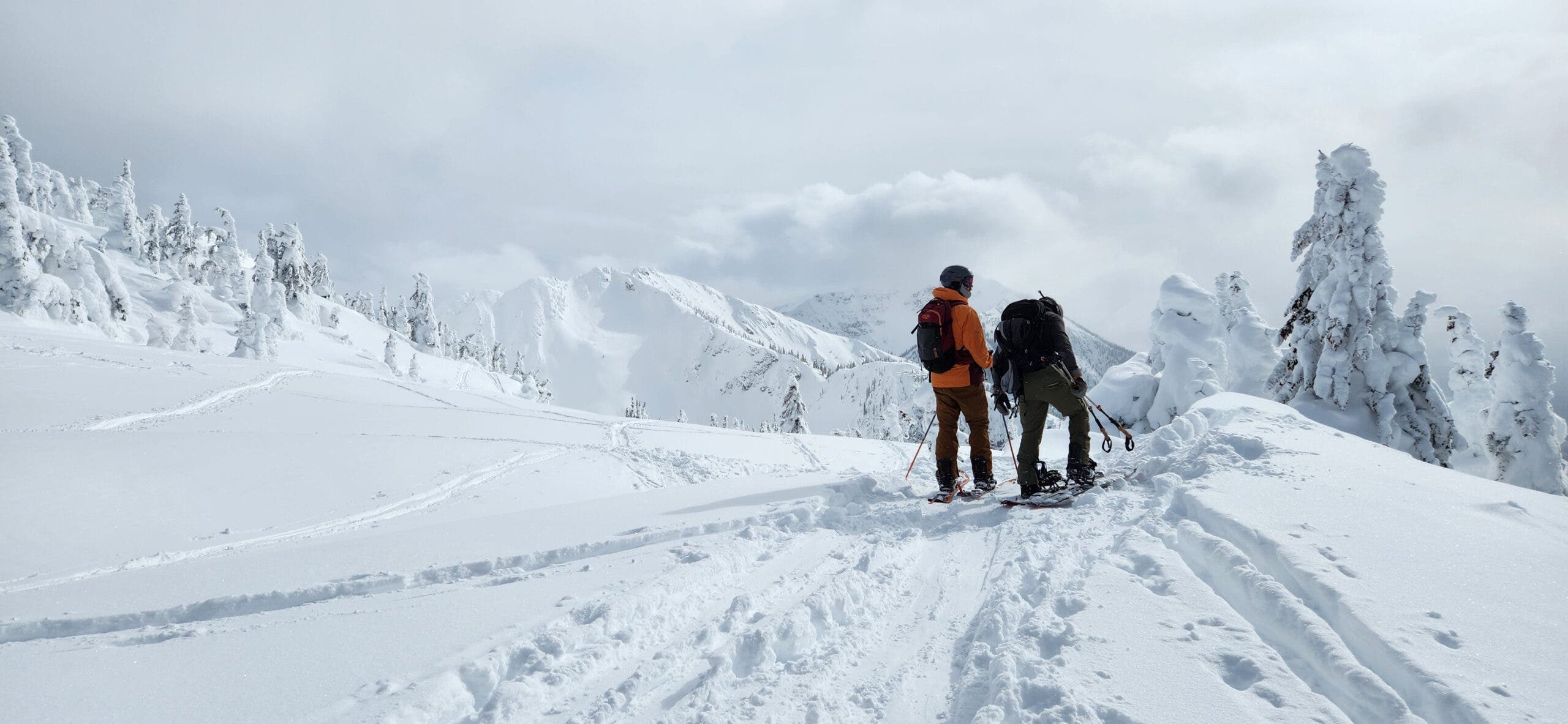 Touring near revelstoke